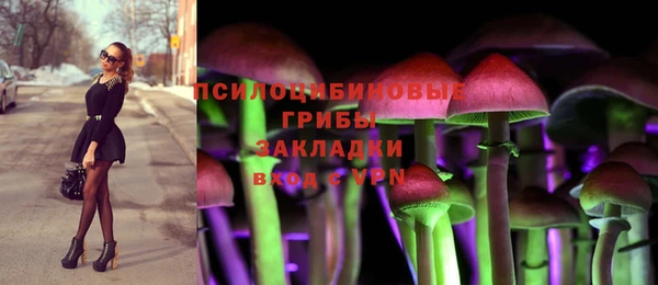 дмт Семёнов