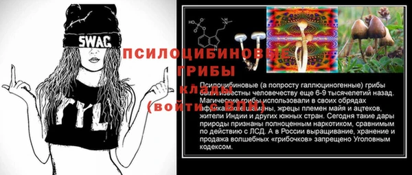 мяу мяу кристалл Арсеньев