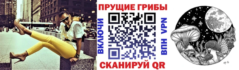 где продают наркотики  ссылка на мегу   Псилоцибиновые грибы GOLDEN TEACHER  Калининск 